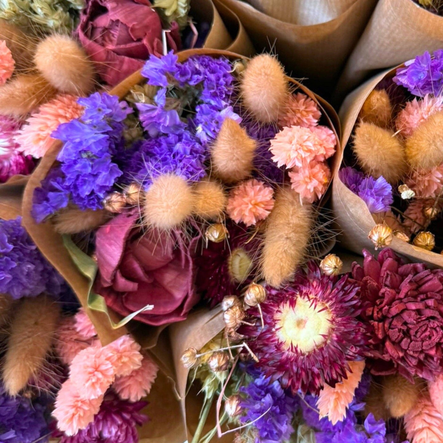 Trockenblumen - Markt mehr - Burgund