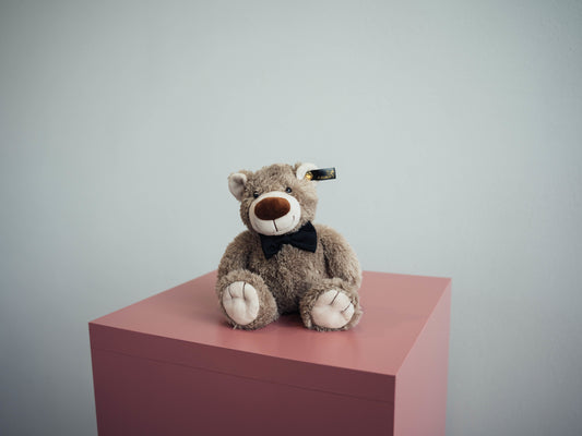Stofftier - Teddybär
