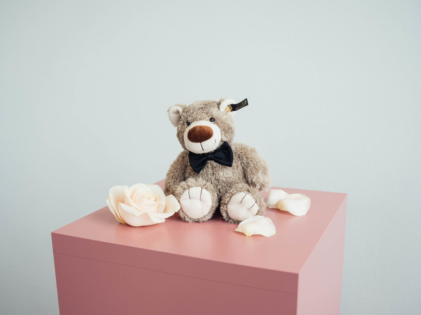 Stofftier - Teddybär