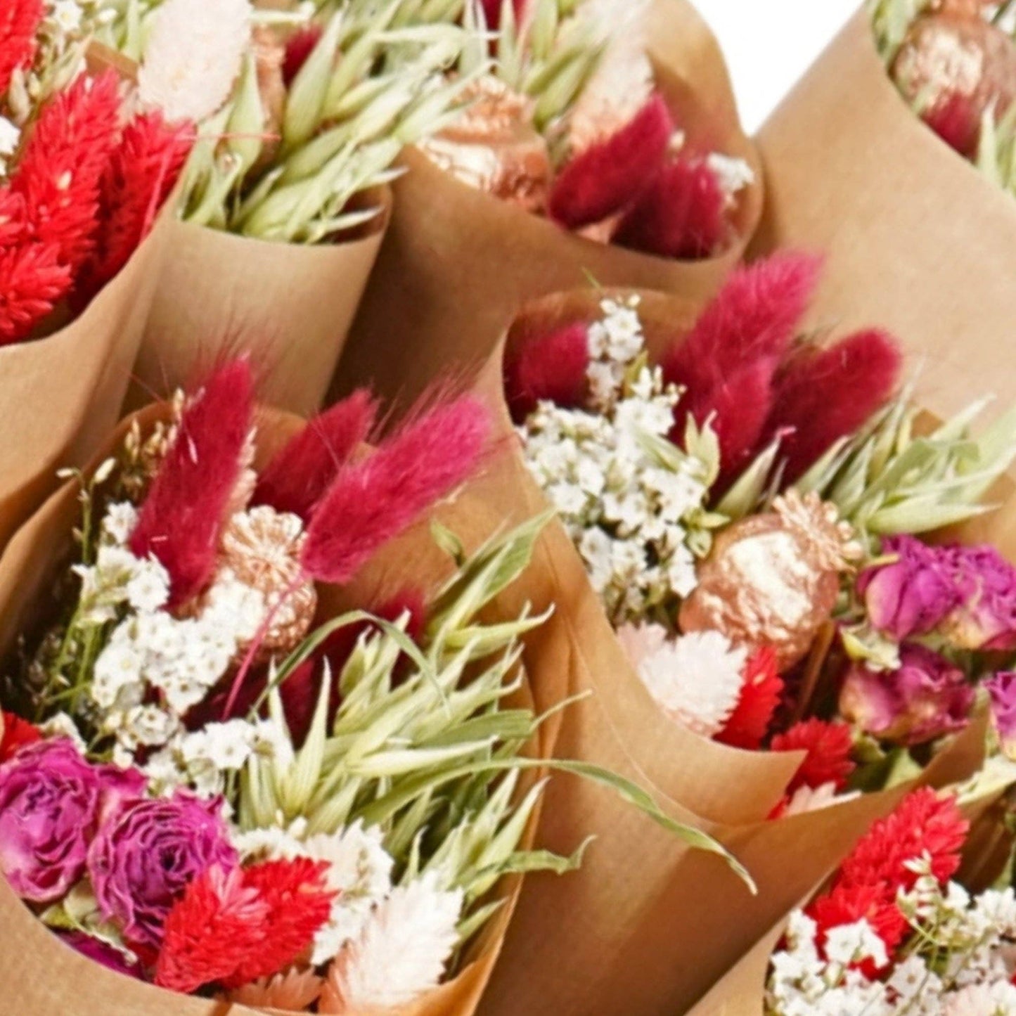 Getrocknete Blumen - Markt mehr - Rote Verlockung