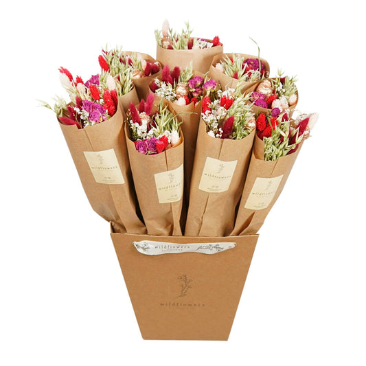 Getrocknete Blumen - Markt mehr - Rote Verlockung