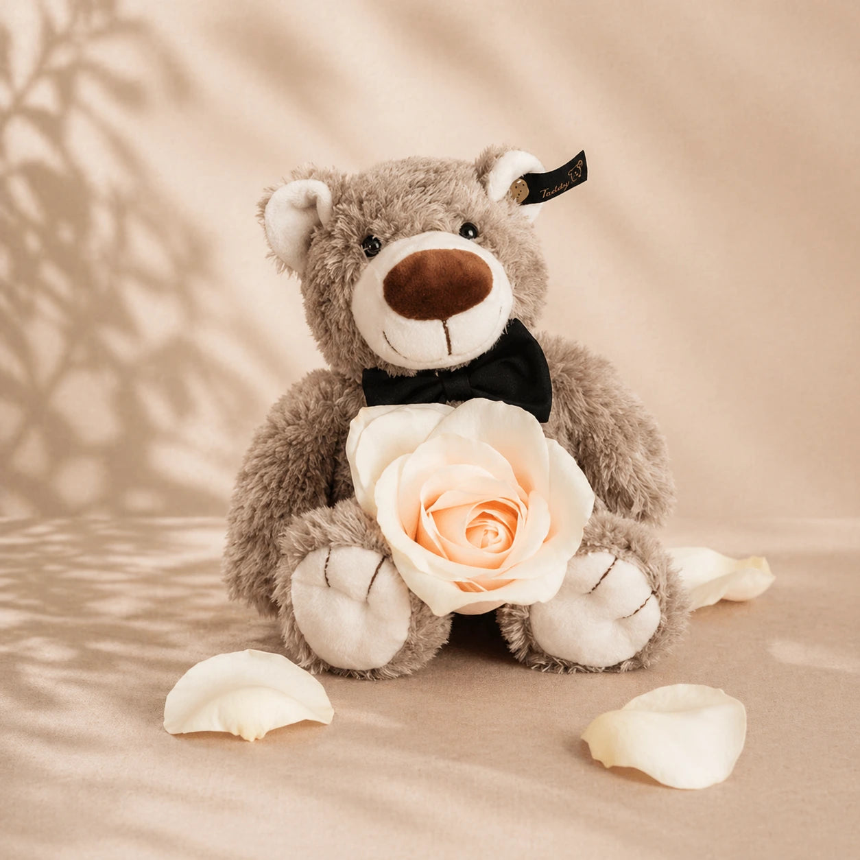 Teddybär
